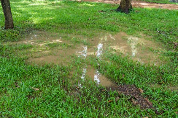 Cost of Storm Water Drainage Service in Sheboygan