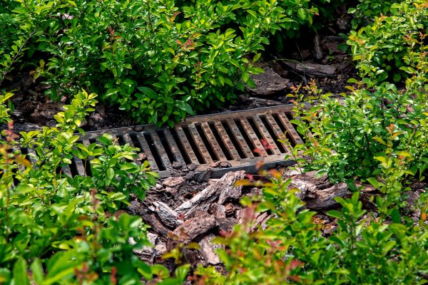 Cost of Underground Drainage Service in Sheboygan