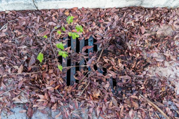 Cost of Yard Drain Unclogging in Sheboygan