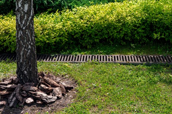 Cost of Wet Yard Drainage in Sheboygan