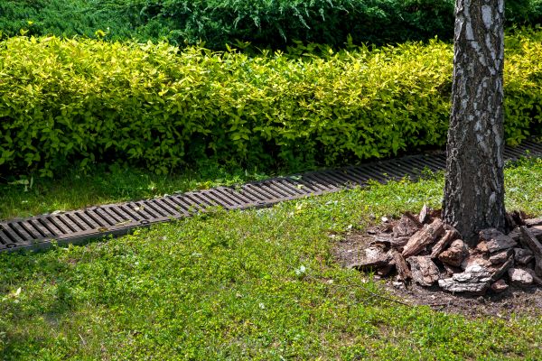 Cost of Residential Landscape Drainage in Sheboygan