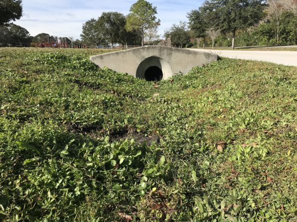 Cost of Swale Drainage Service in Sheboygan