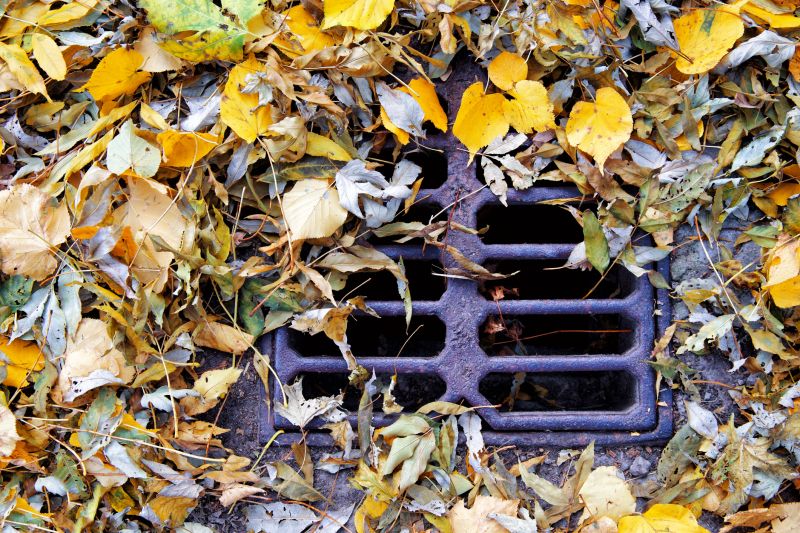 Fall Drainage Maintenance